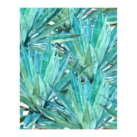 Agave  (Print Only)