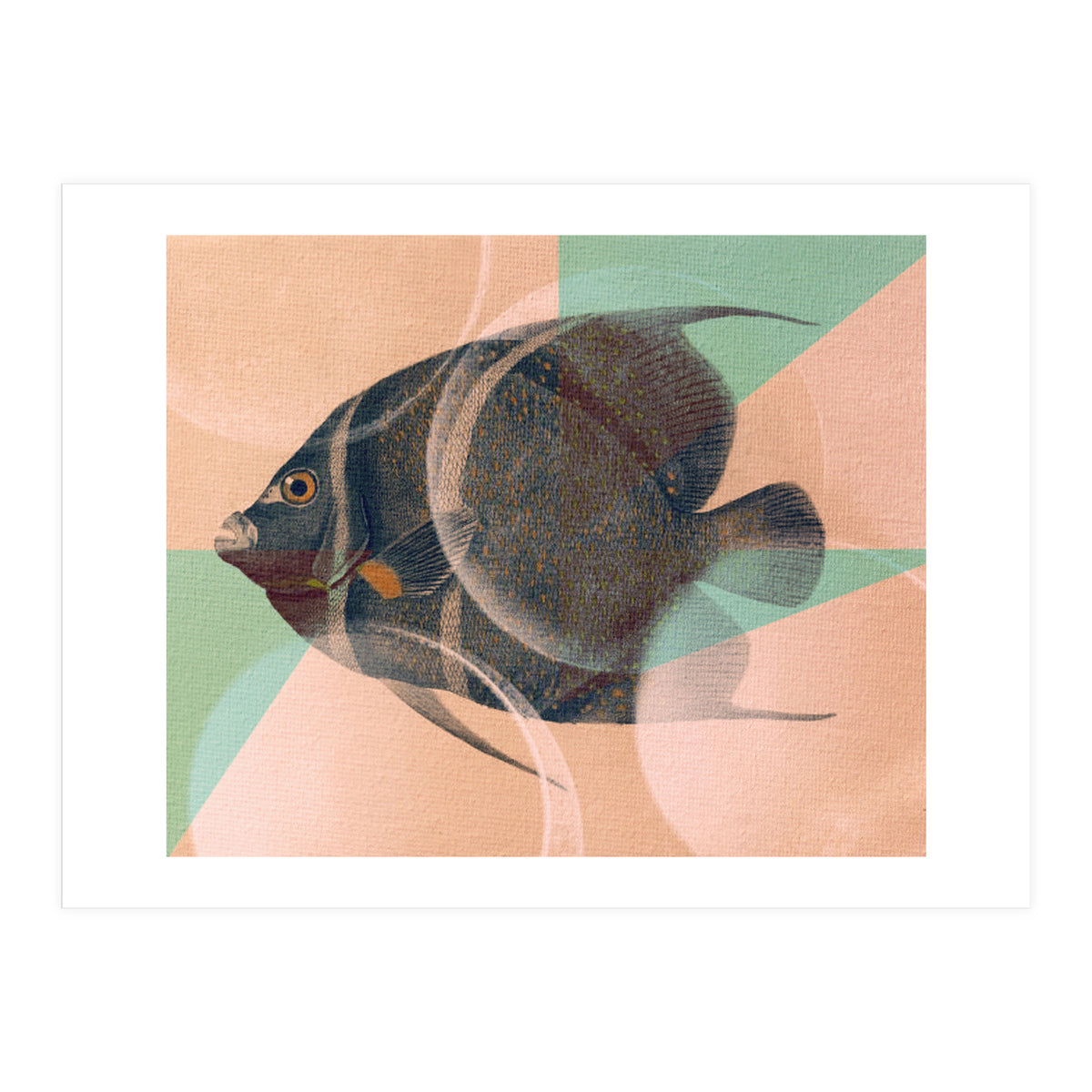 Fish Between Circles 2 (Print Only)