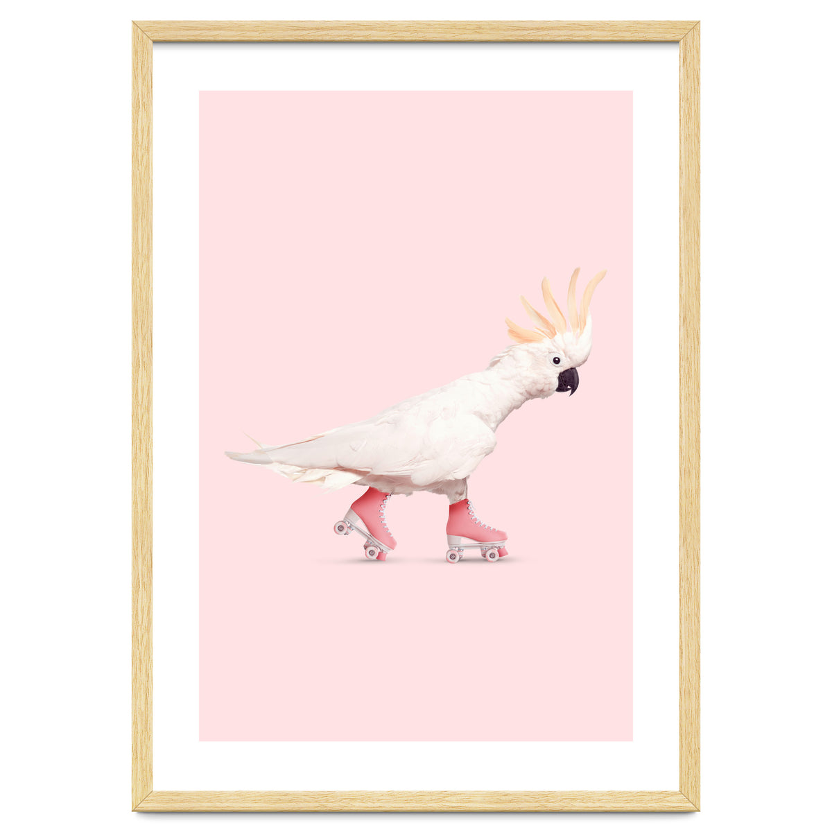 Rollerskating Cockatoo