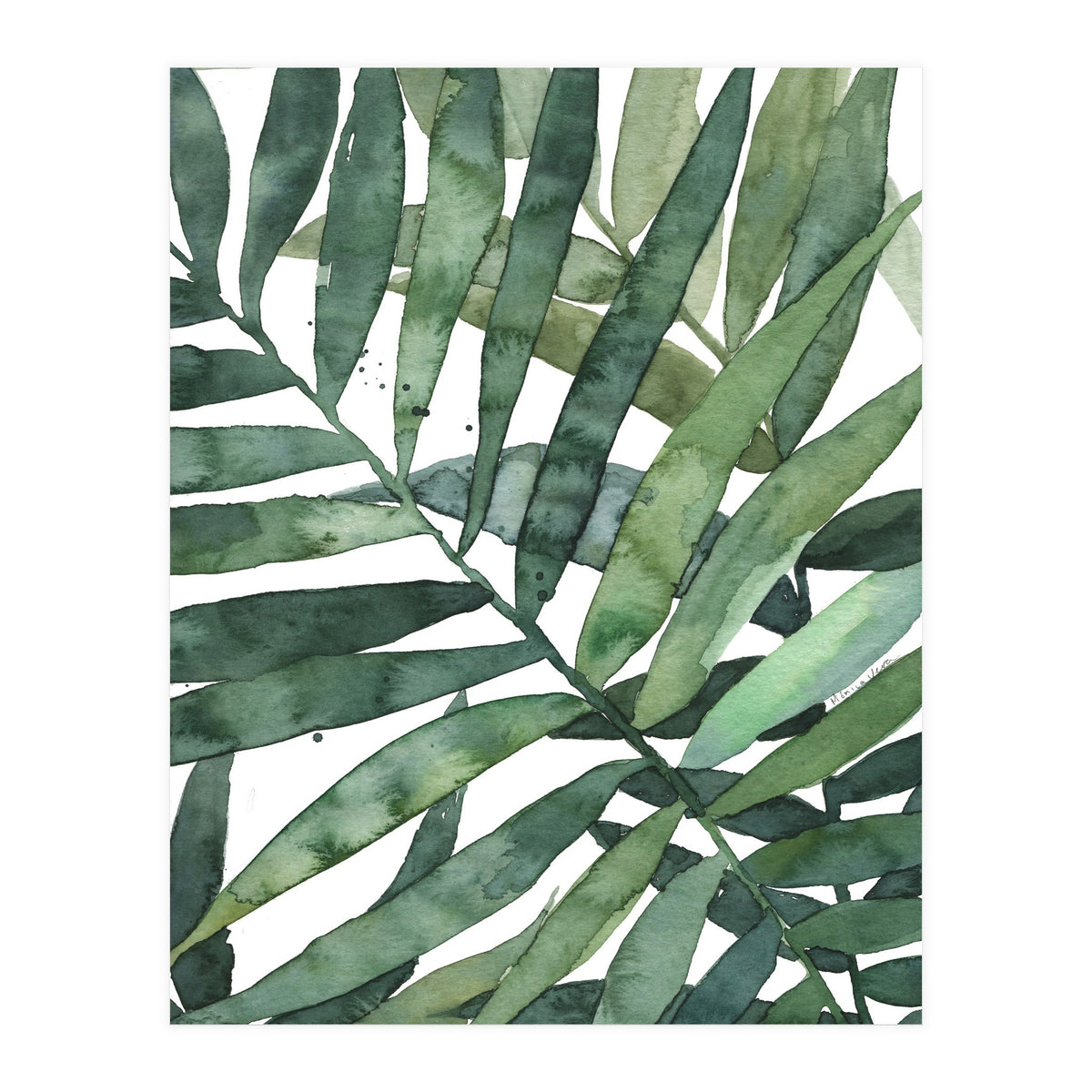 tropical 5 (Print Only)