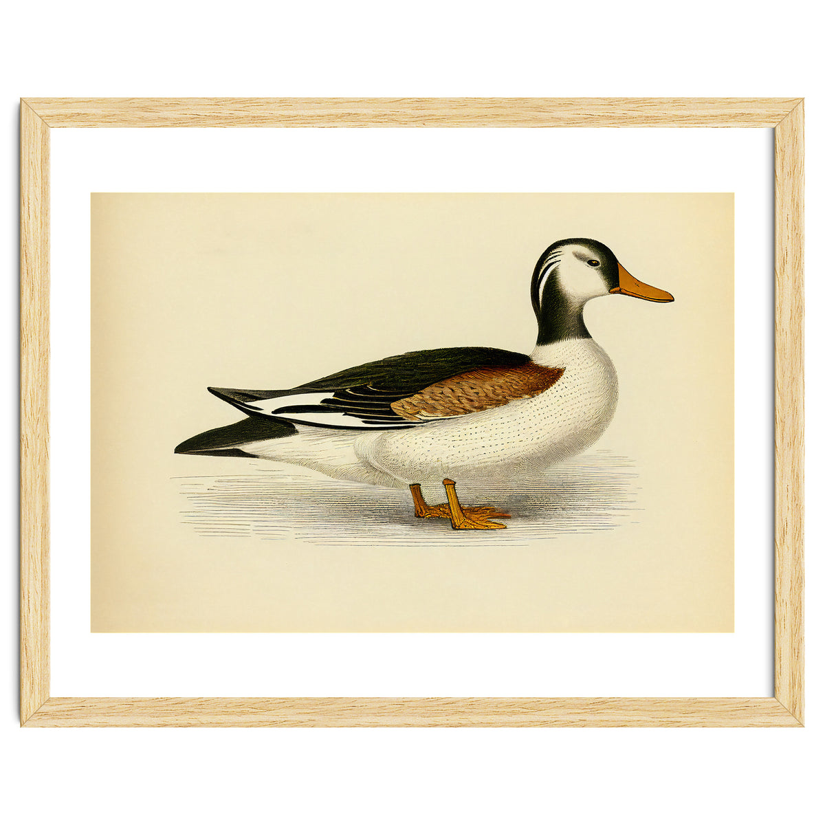 Vintage Duck Painting