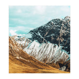 Carter (Print Only) thumbnail