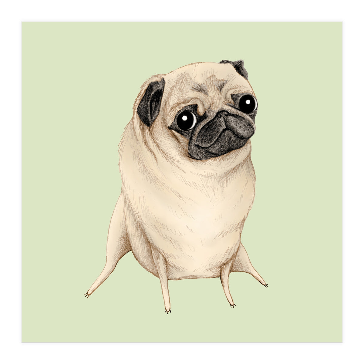 Sweet Fawn Pug (Print Only)