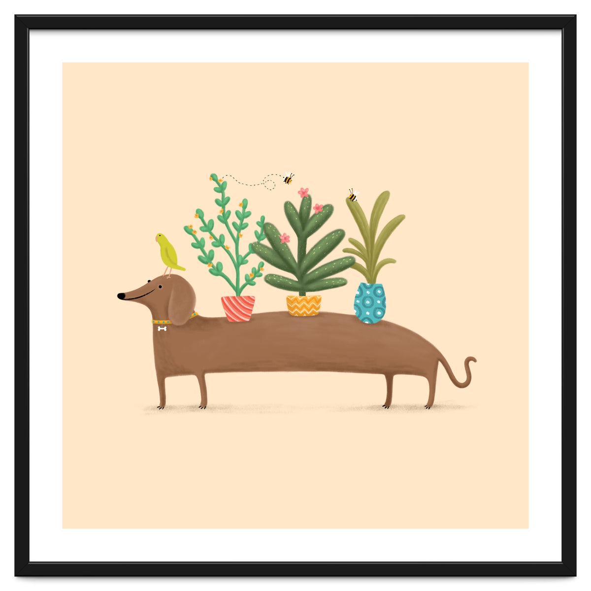 Dachshund And Parrot