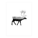 30 (Print Only) thumbnail
