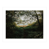 Tomales Bay (Print Only) thumbnail
