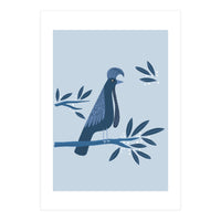 Umbrellabird (Print Only)