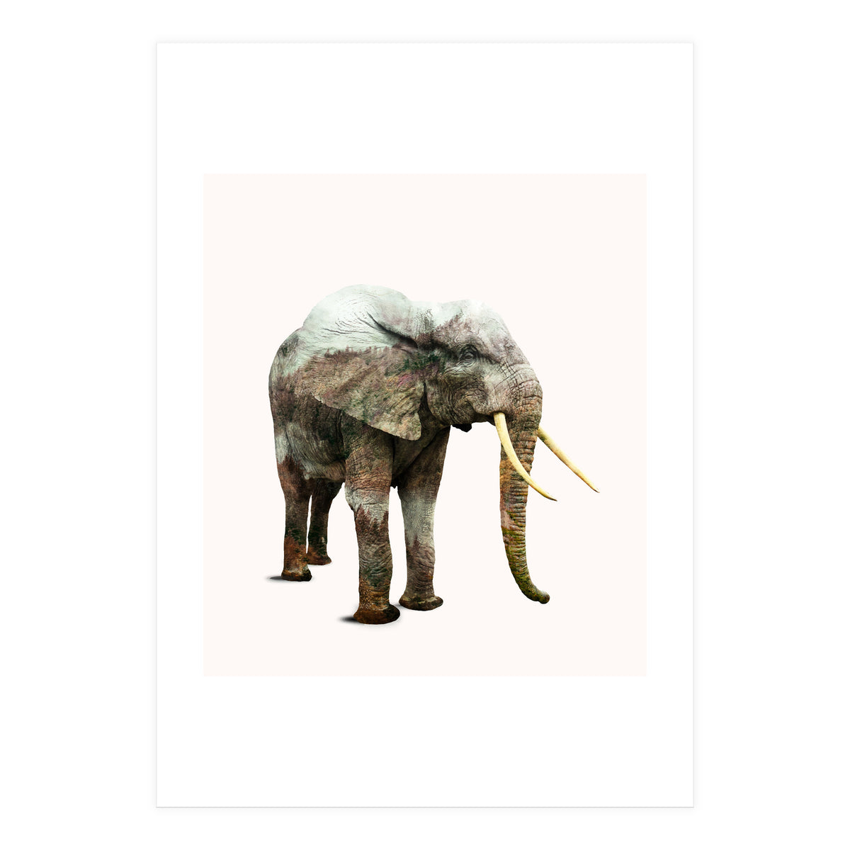Elephant Transformation (Print Only)