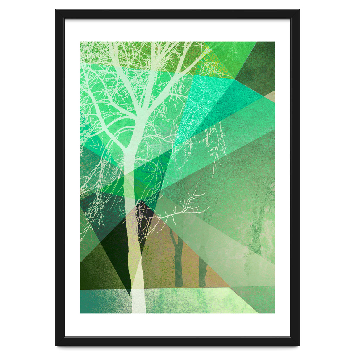 P22 B Trees And Triangles