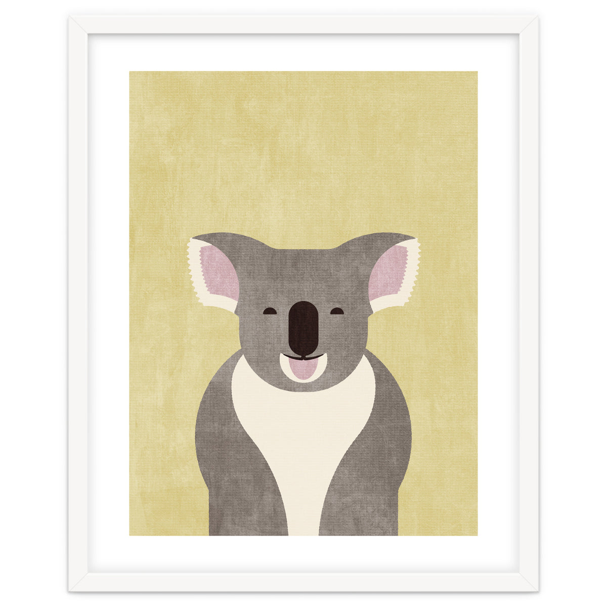 FAUNA / Koala