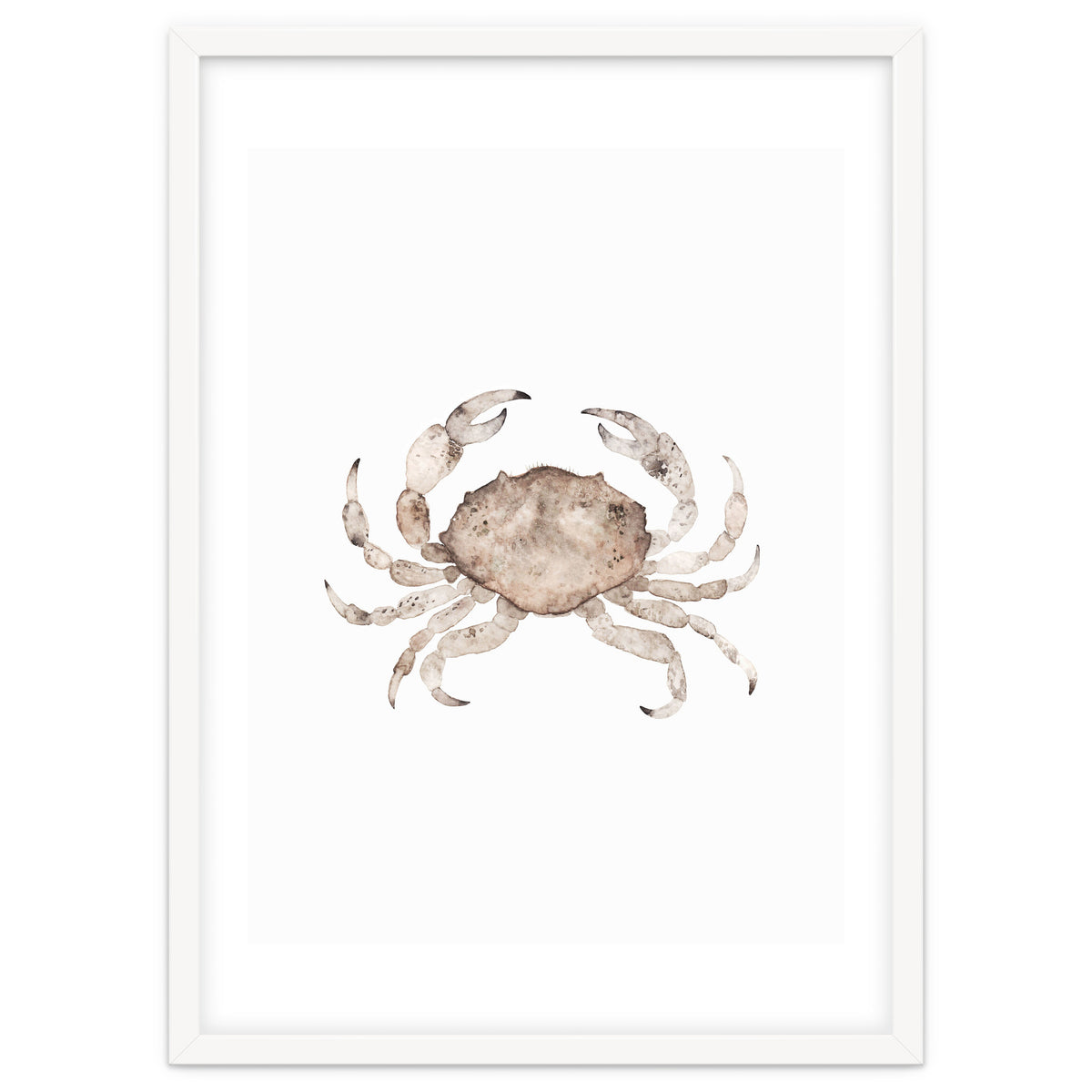 Crab