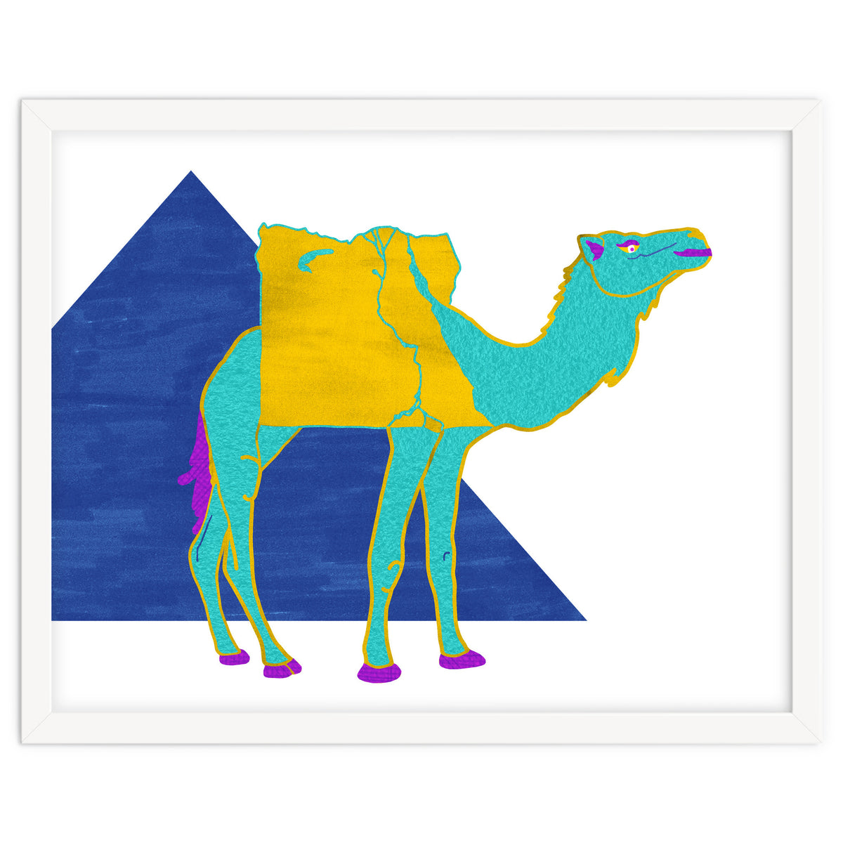 Egyptian Dromedary
