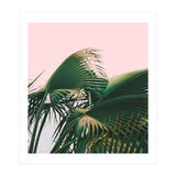 Palm Love (Print Only) thumbnail