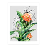 Collage of florid nature  (Print Only) thumbnail