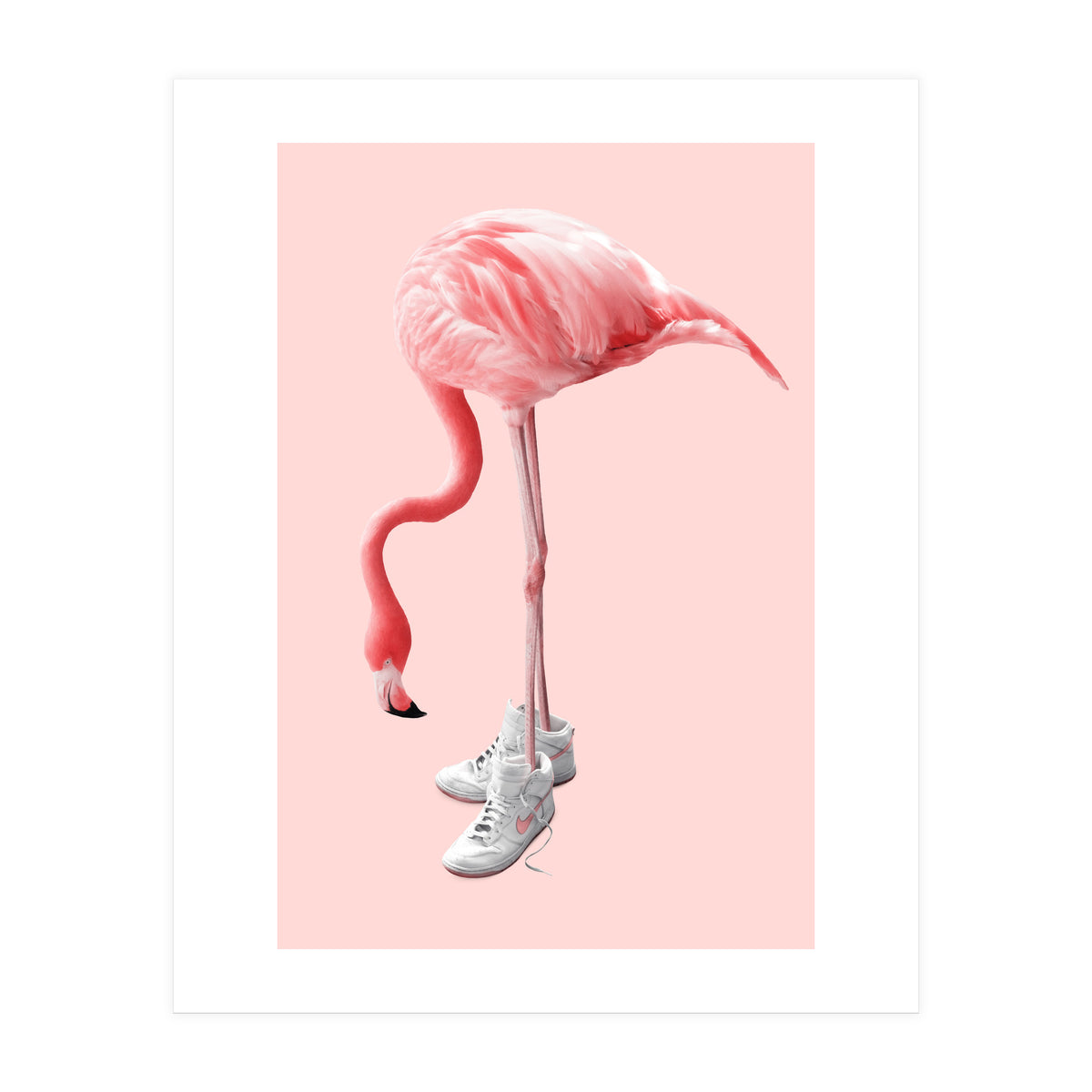 Sneaker Flamingo (Print Only)