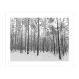 Let It Snow Forest (Print Only) thumbnail