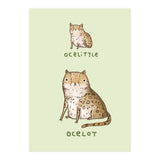 Ocelittle Ocelot (Print Only) thumbnail