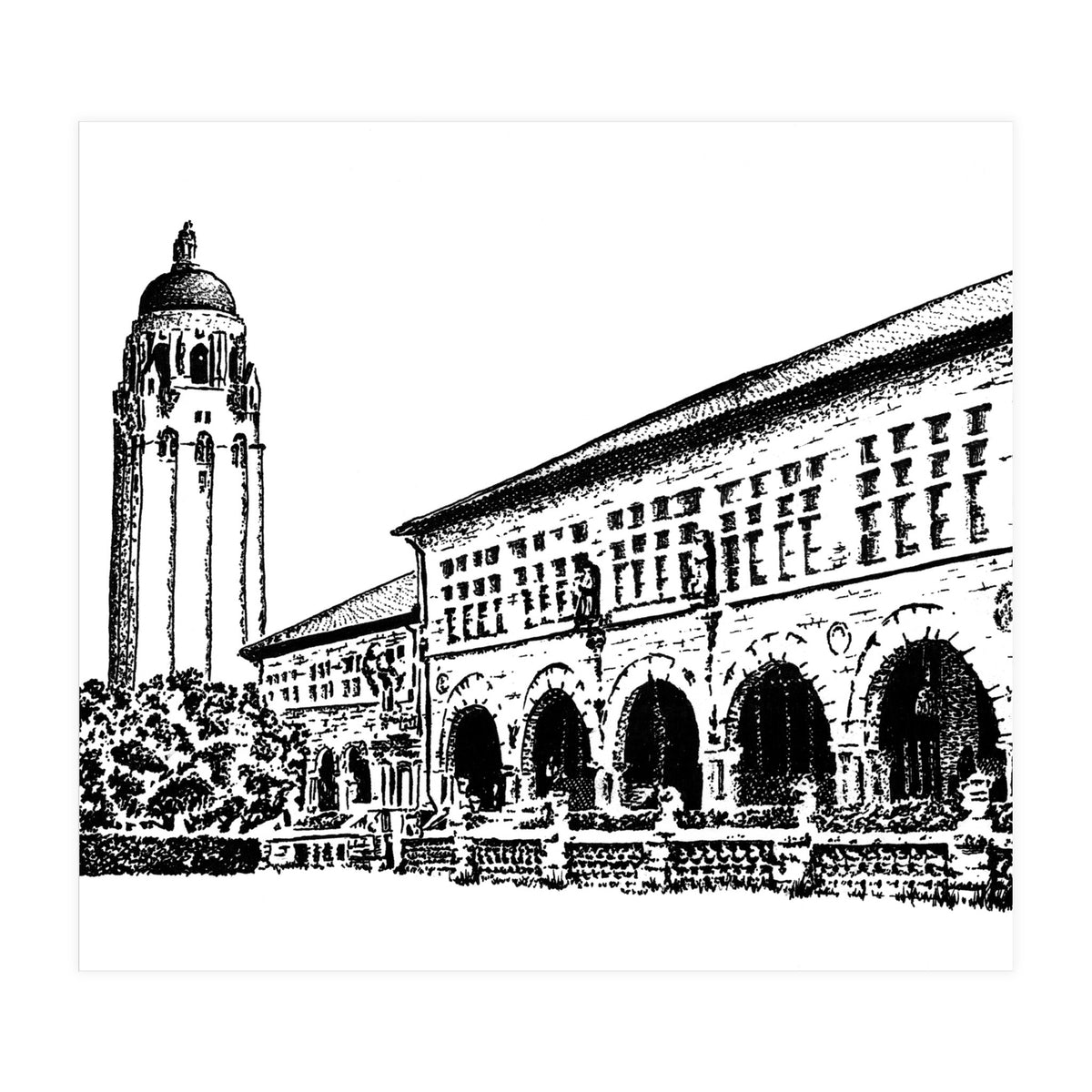 Stanford University (Print Only)
