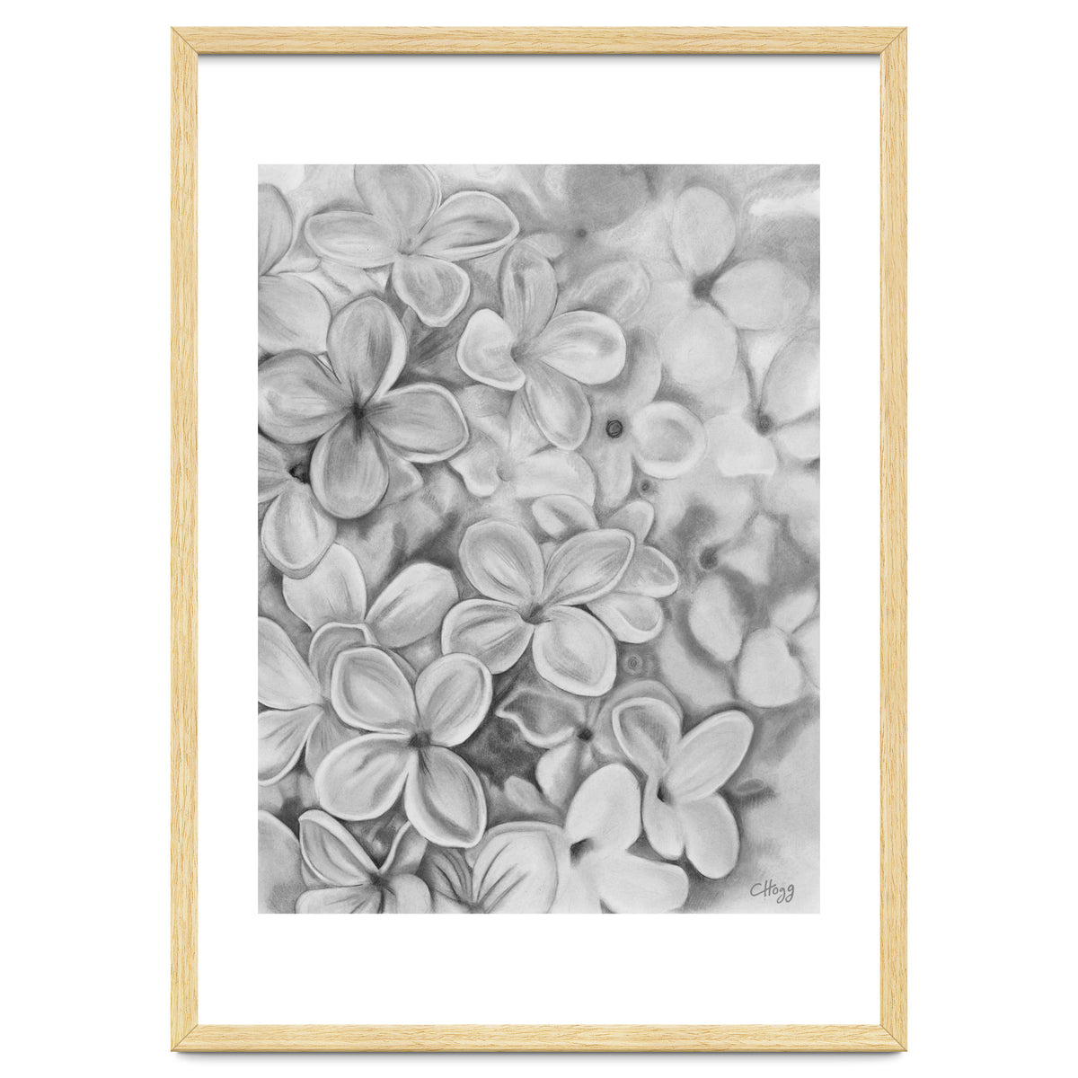 The Essence Of Spring in Monochrome