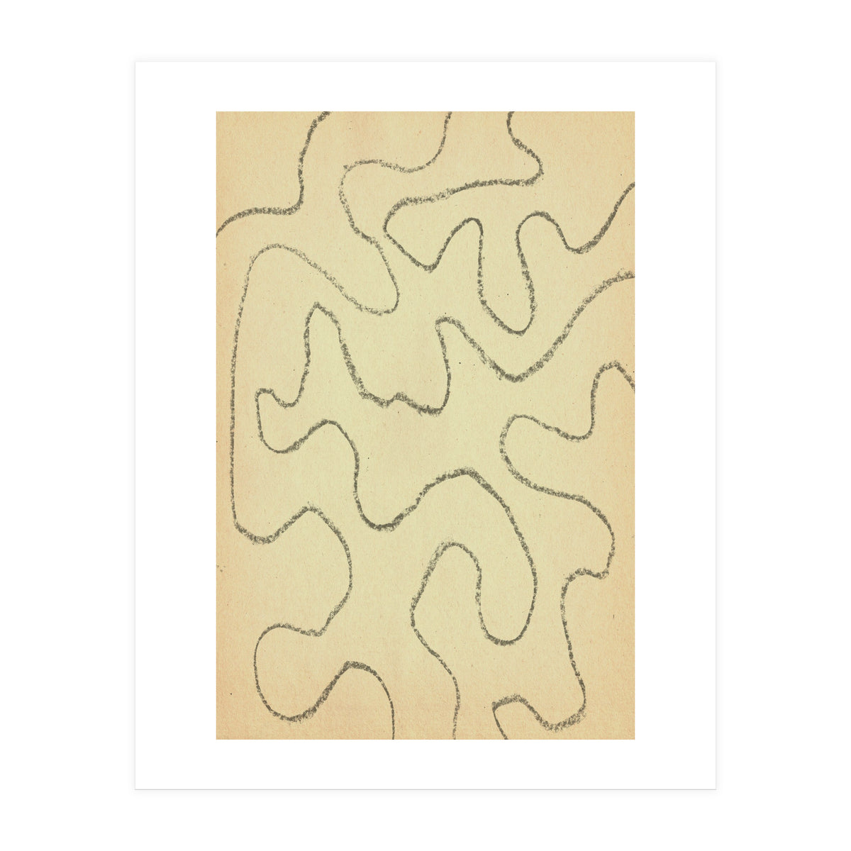 Abstract organic lines (Print Only)