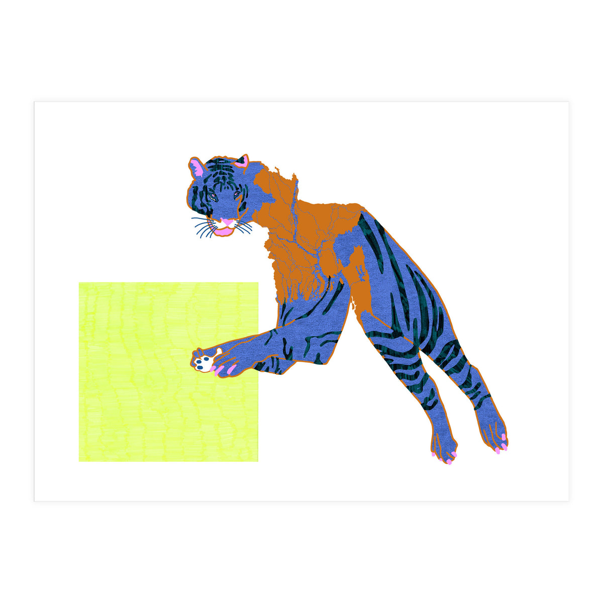 Bangladeshi Bengal Tiger  (Print Only)