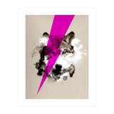 Wolf Rocks (Print Only) thumbnail