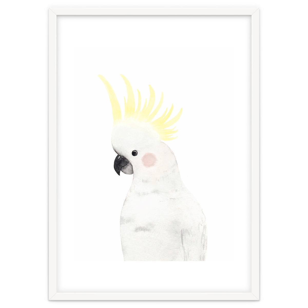 Sweet Cockatoo