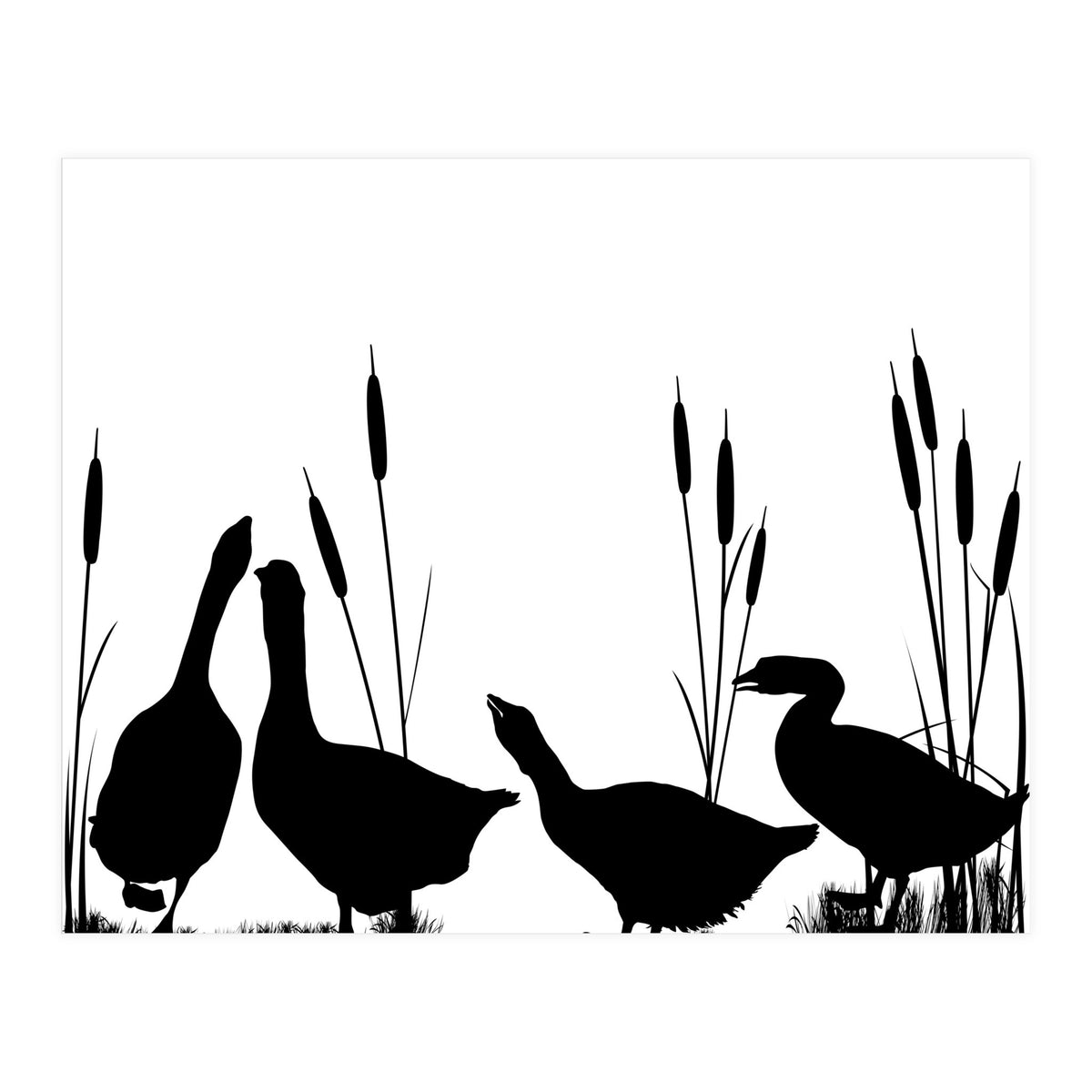 Geeses  (Print Only)