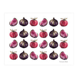 Apple & Figs (Print Only) thumbnail