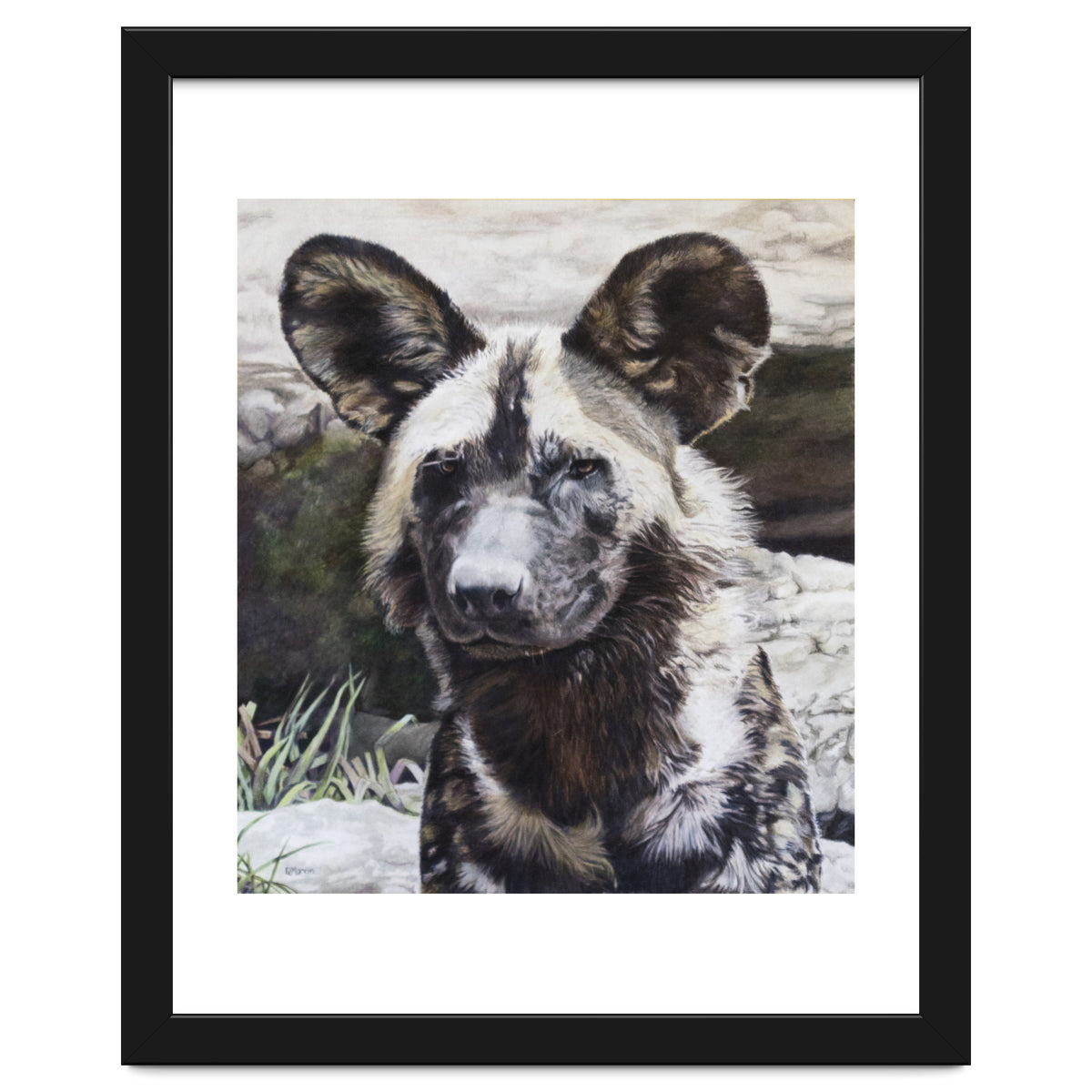 African Painted Dog II