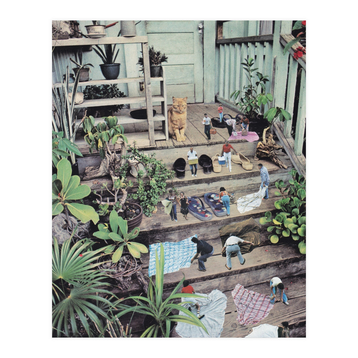 Big Cat (Print Only)