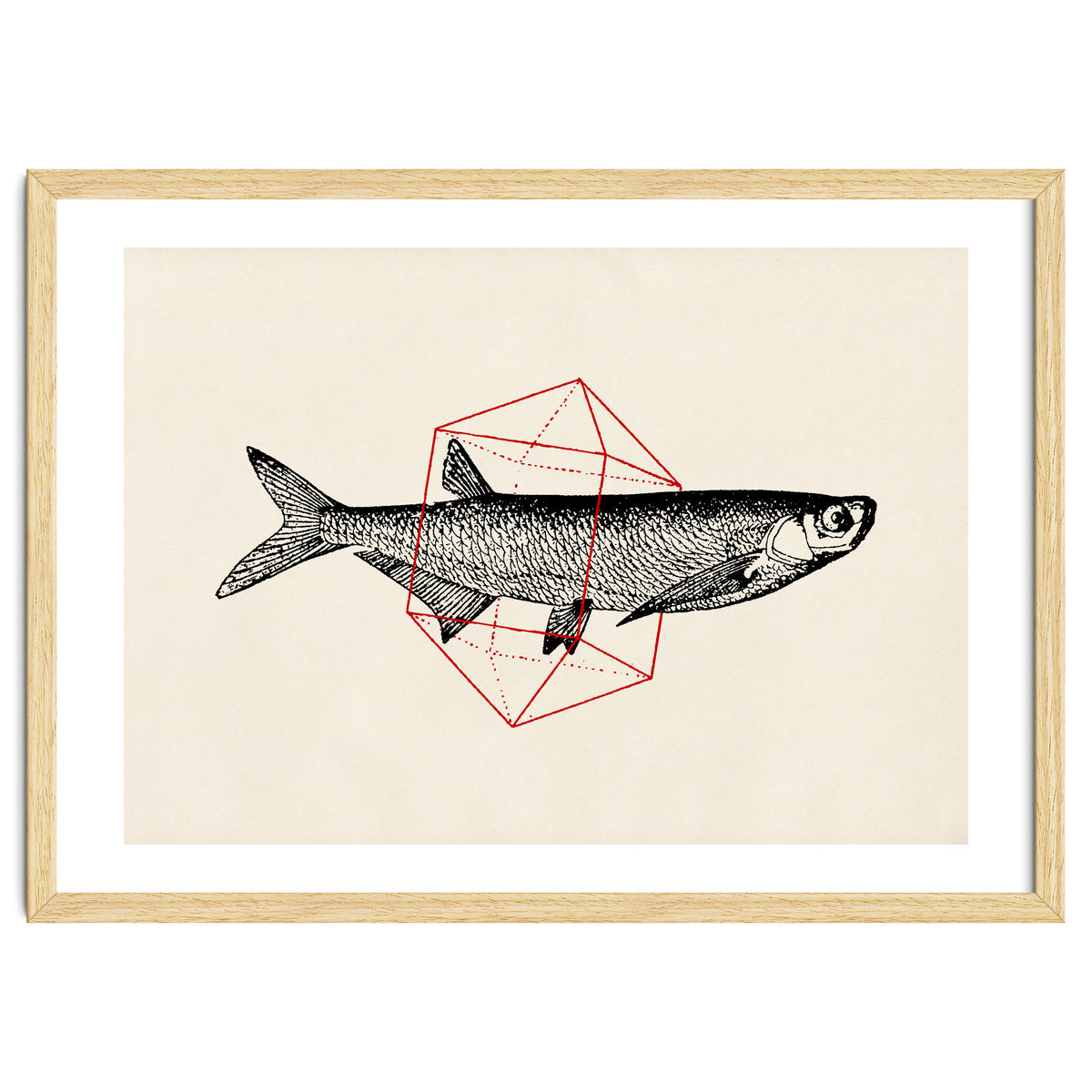 Fish In Geometrics II