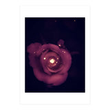 Red Sparkling Rose (Print Only) thumbnail