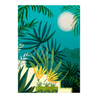 Rainforest With Moonlight (Print Only)