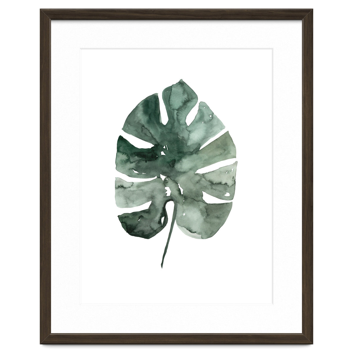 Botanical Illustration Monstera Leaf