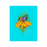Butterfly 5 (Print Only) thumbnail