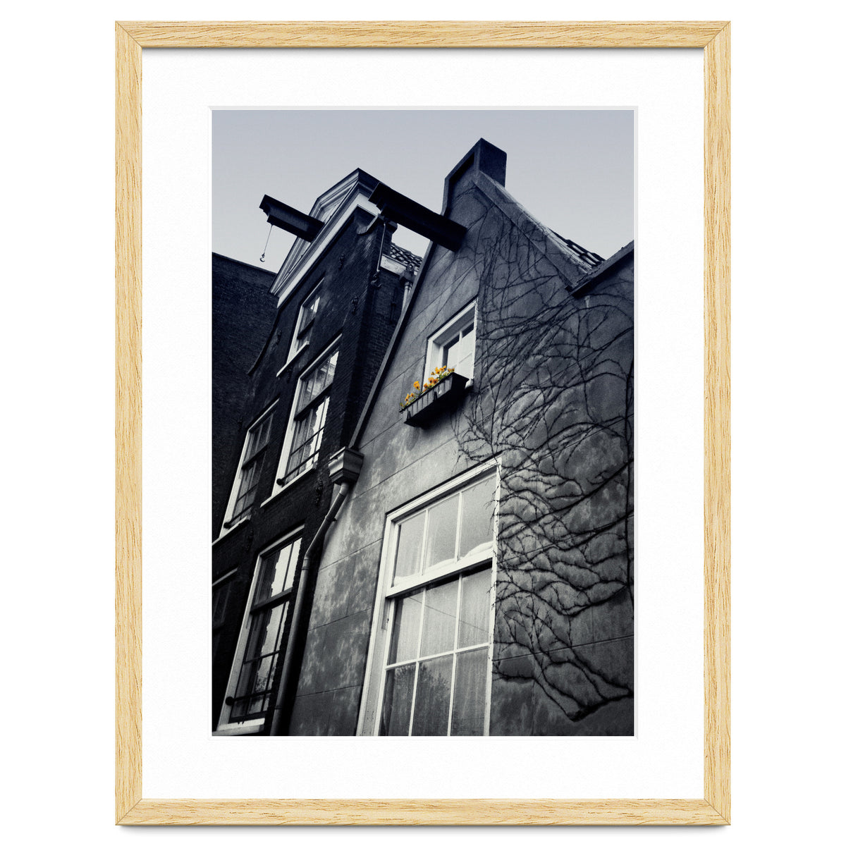 Amsterdam. House With Yellow Flowers.
