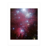 The Christmas Tree Cluster (Print Only) thumbnail