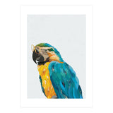 Macaw Portrait wearing gold glasses (Print Only) thumbnail