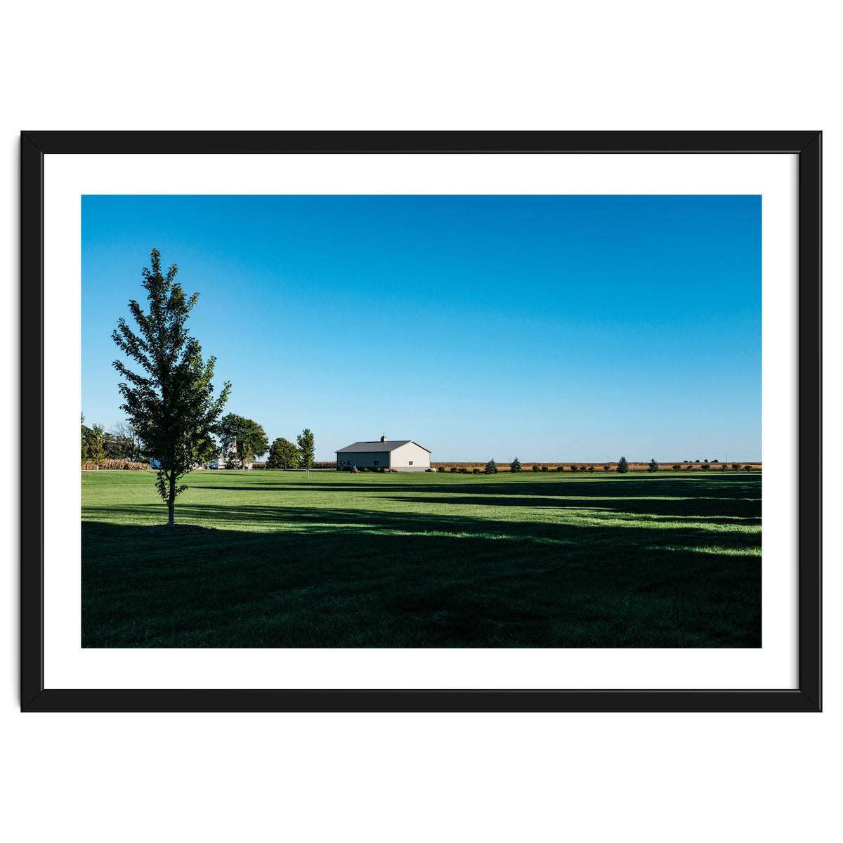 Summer evening, rural Illinois