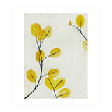 Golden birch leaves (Print Only) thumbnail