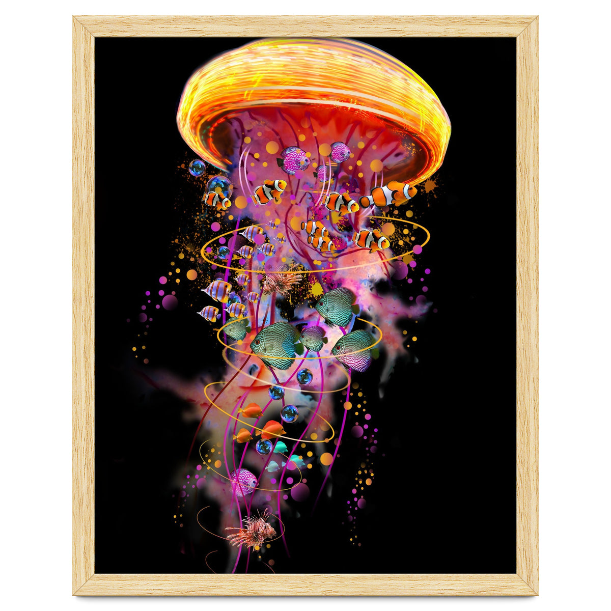 Jelly Fish Ride Summer2018 Dbh