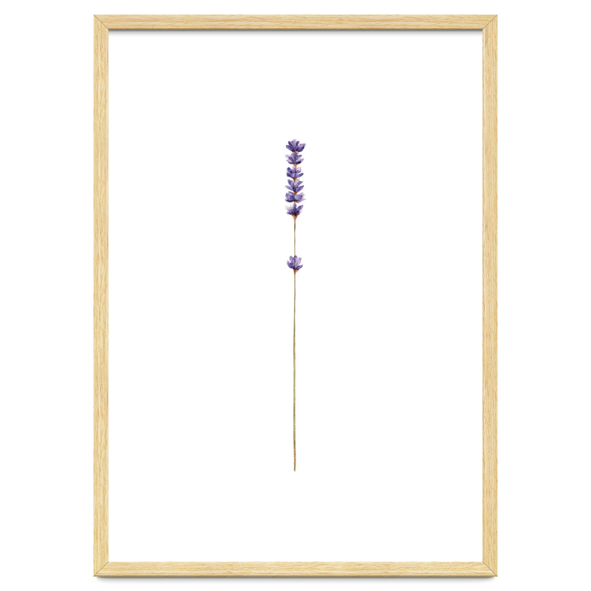 Lavender twig
