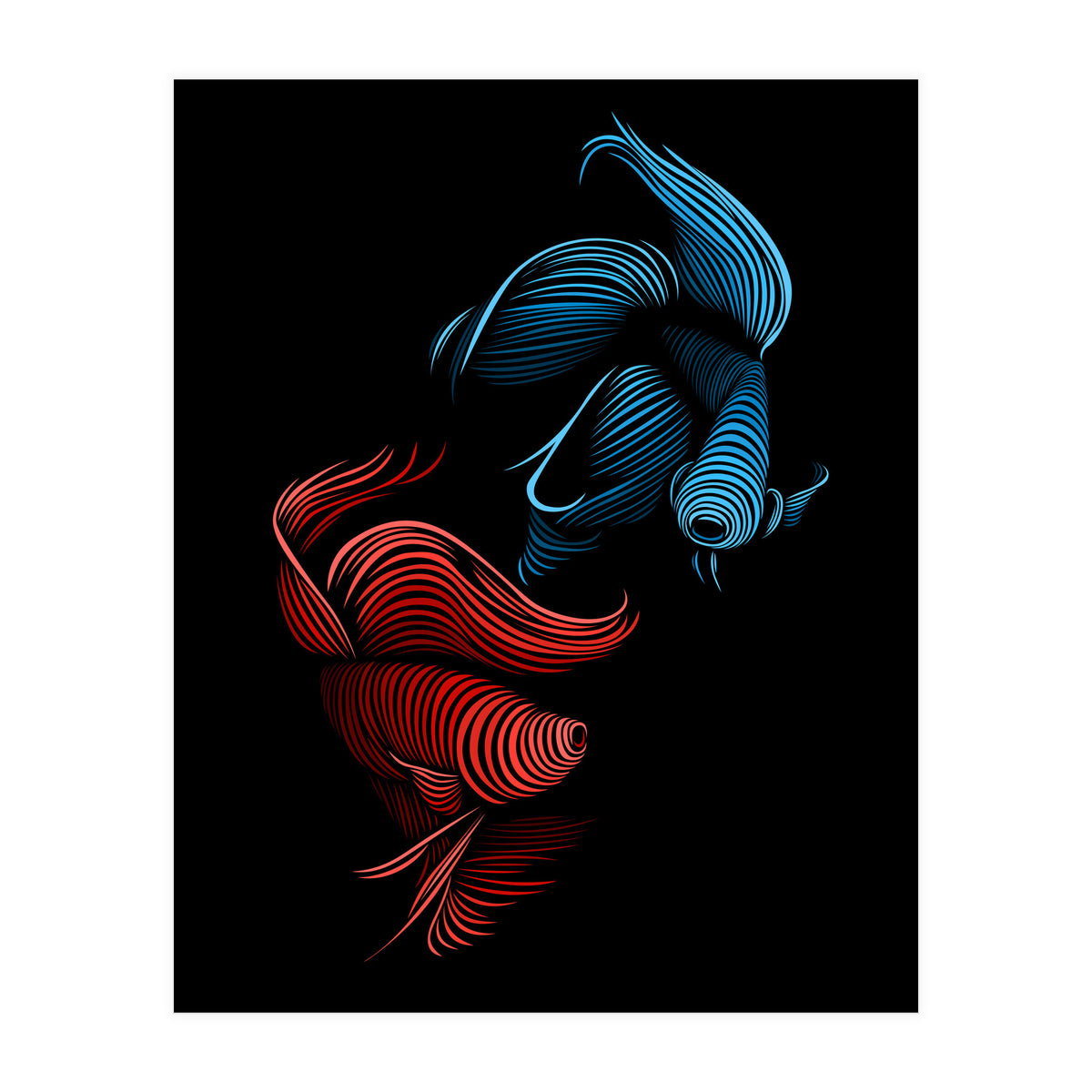bettas fight (Print Only)