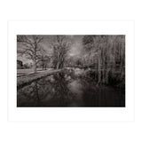 Bute Park, Cardiff  (Print Only) thumbnail
