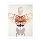 Ikarus - Like a Moth to the Flame (Print Only) thumbnail