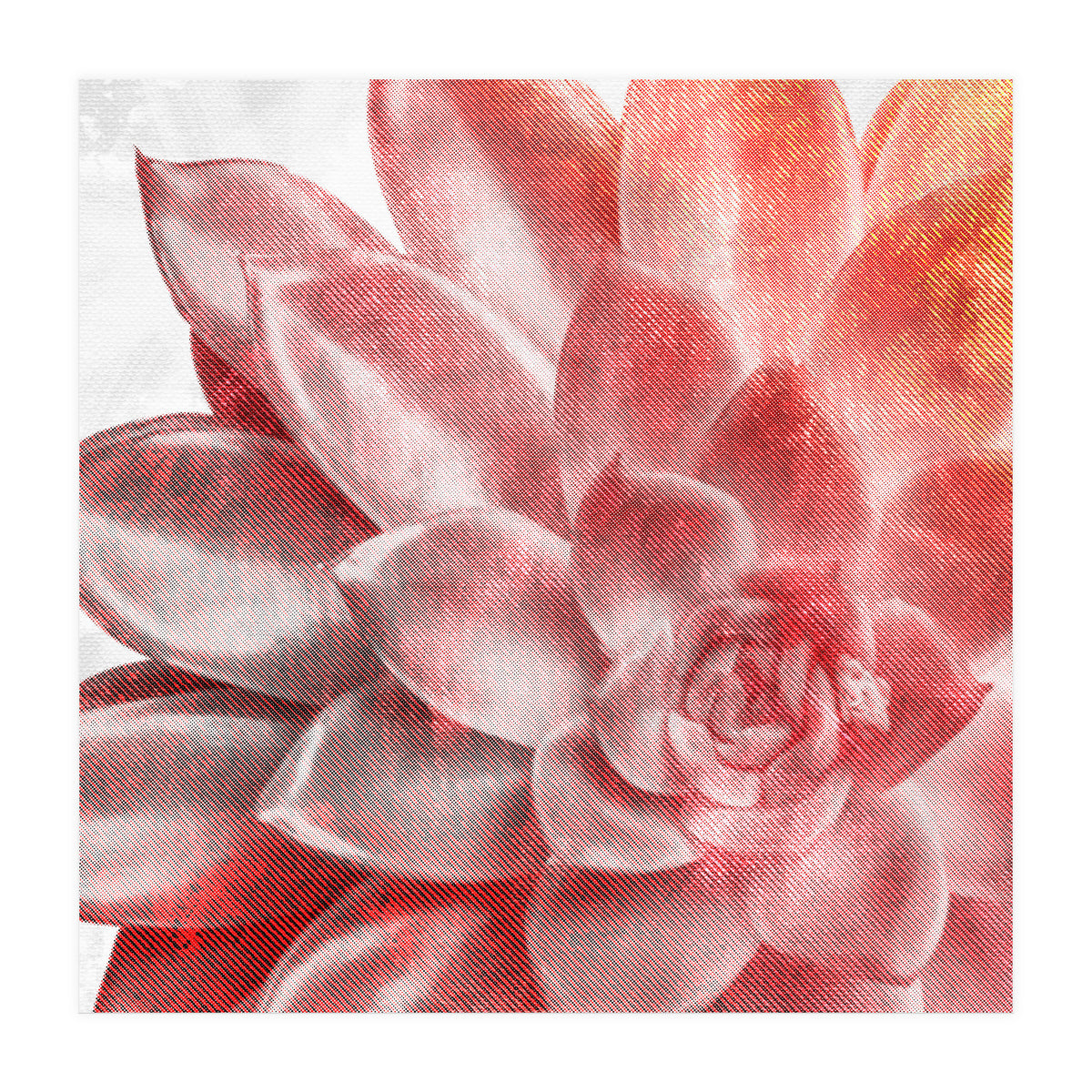 Rough Beauty 2 (Print Only)