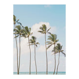 Tropical Palm Trees (Print Only) thumbnail
