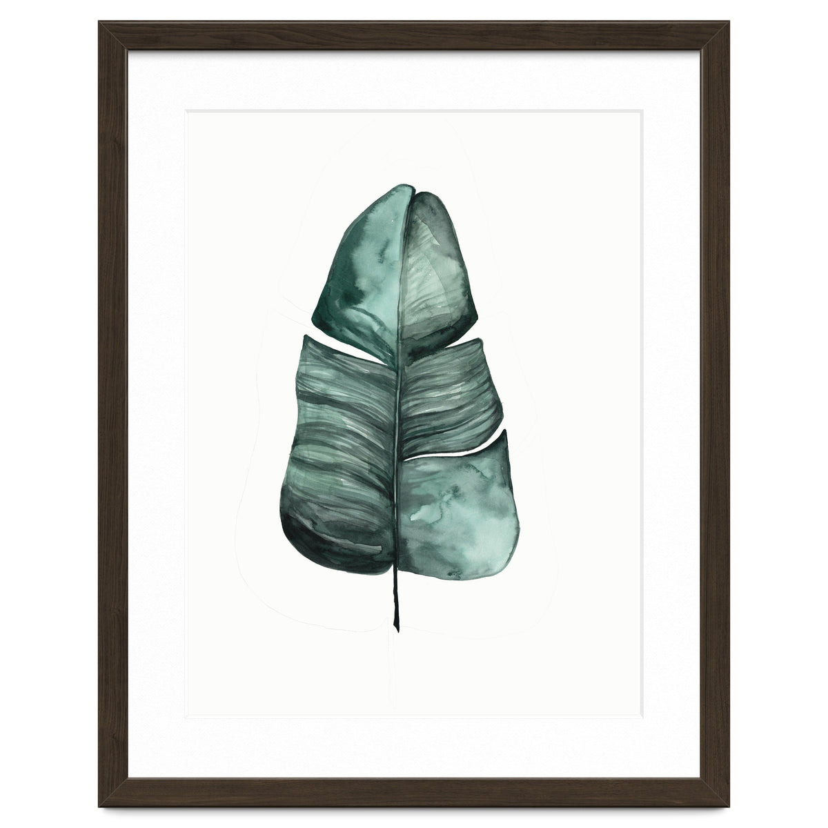 Botanical Illustration Banana Leaf