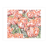 Tulip Garden (Print Only) thumbnail